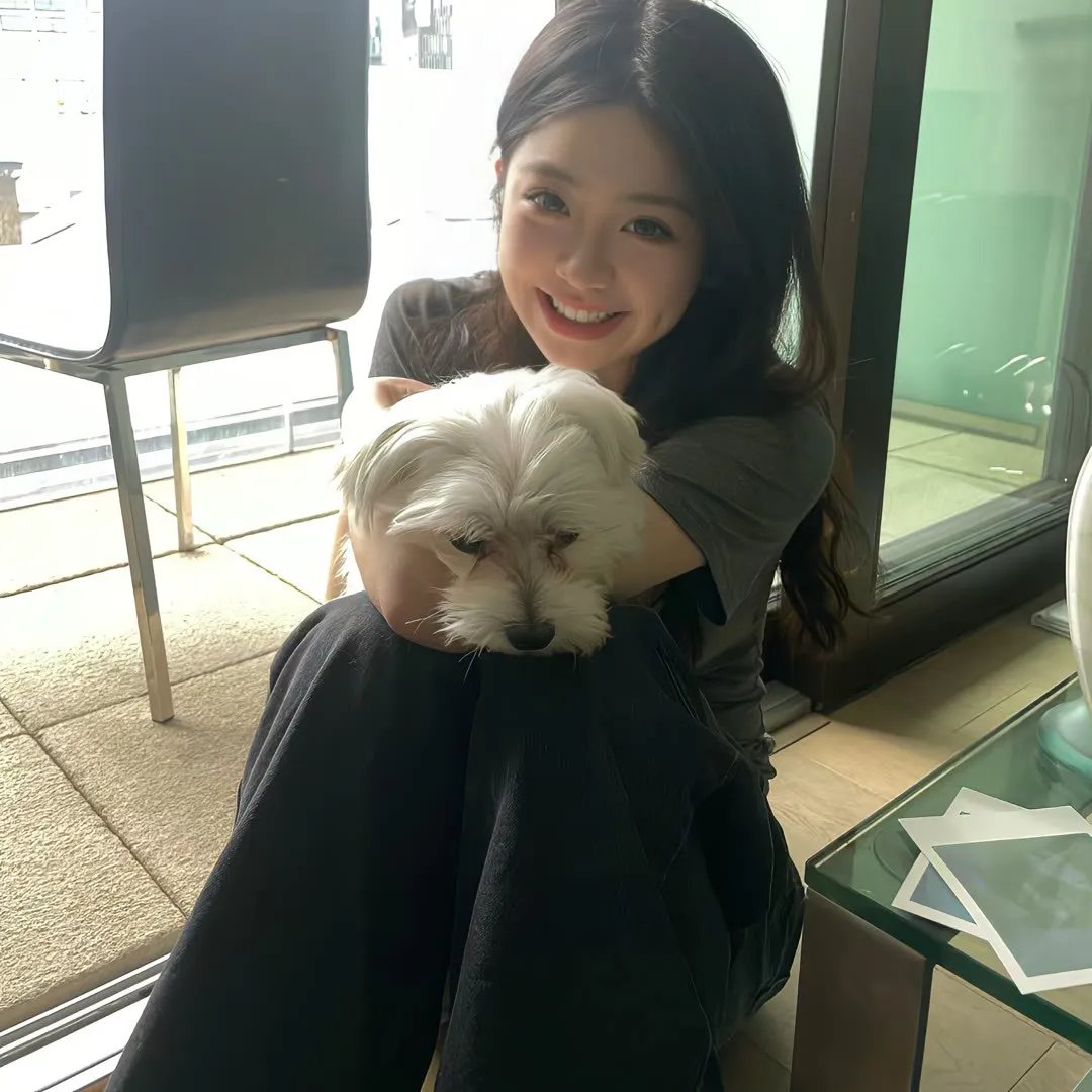 本尼迪特天才秘社第二季