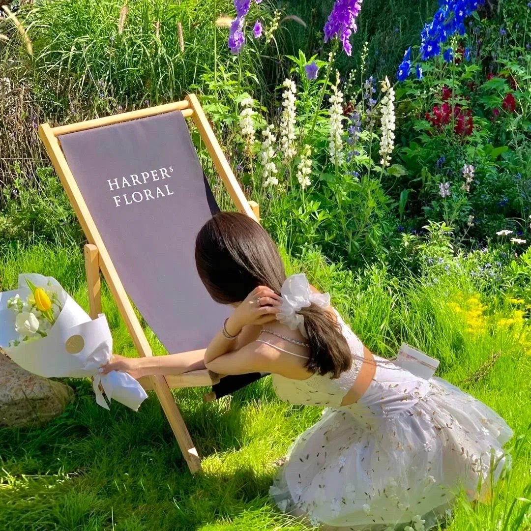 土豆的美国梦